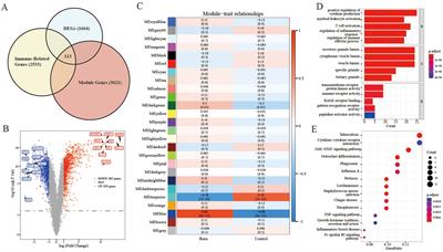 Suppression of overactivated immunity in the early stage is the key to improve the prognosis in severe burns